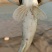 鳜鱼