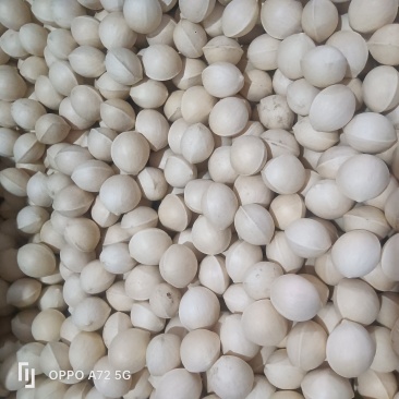 白果（小中大）