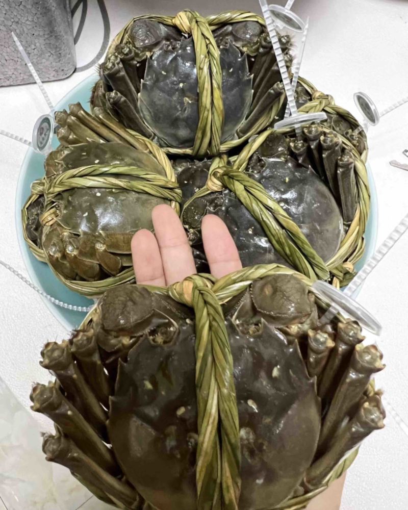 南京固城湖大闸蟹