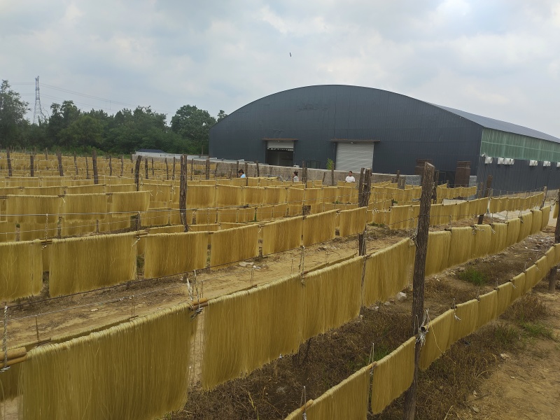 河南省粉条