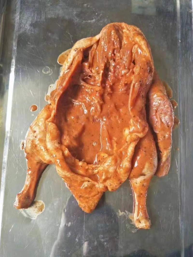 奥尔良烤鸡调理品系列各种产品