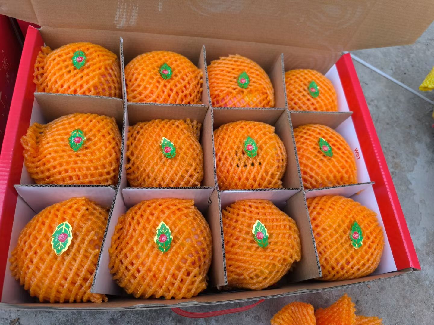 烟富10号苹果礼盒与切开后果肉展示特写