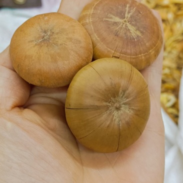 风流果又叫淫花果，统货