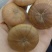 风流果又叫淫花果，统货