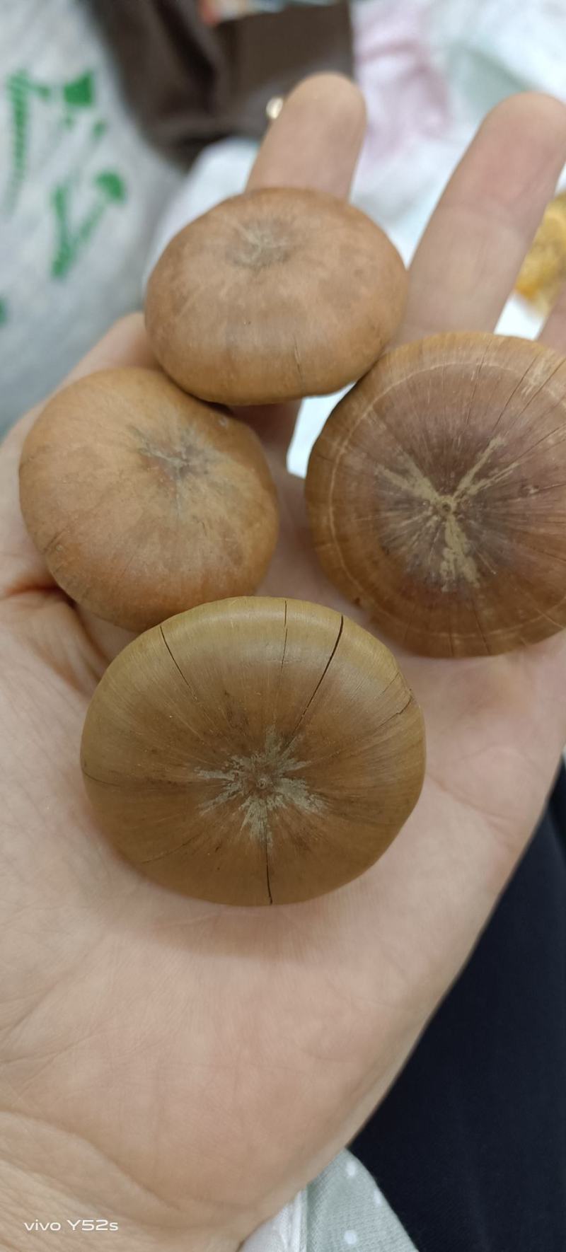 风流果又叫淫花果，统货