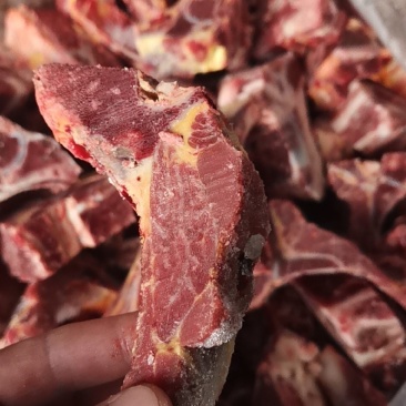 多肉牛脊骨