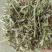 花生秧厂家直销花生秧一级绿二级黄白绿三级通货