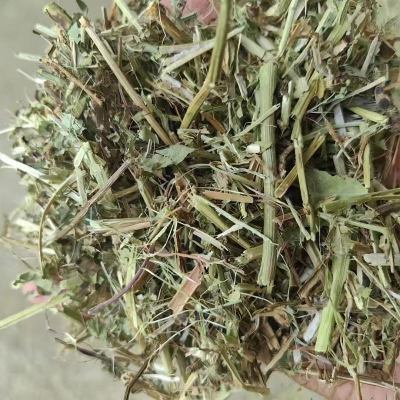 花生秧厂家直销花生秧一级绿二级黄白绿三级通货