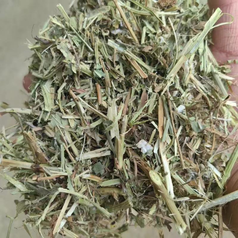 花生秧厂家直销花生秧一级绿二级黄白绿三级通货