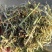 花生秧厂家直销花生秧一级绿二级黄白绿三级通货