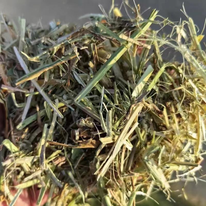 花生秧厂家直销花生秧一级绿二级黄白绿三级通货