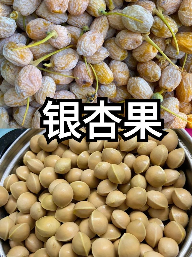 银杏果