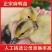 【推荐诚信商家】麻鸭苗包运输成活厂家直销货到满意付款