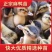 【推荐诚信商家】麻鸭苗包运输成活厂家直销货到满意付款