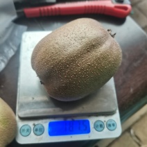 淄博碧玉猕猴桃，冷库大果。