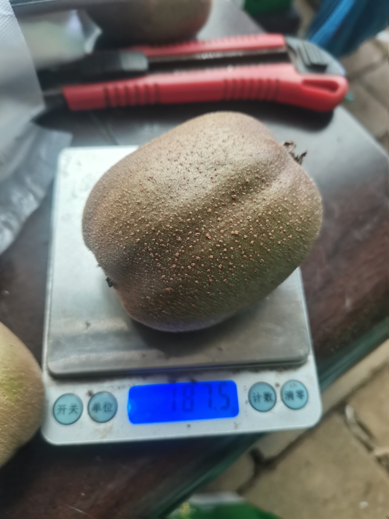 淄博碧玉猕猴桃，冷库大果。