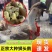 【推荐诚信商家】狮头鹅苗包运输成活货到满意付款厂家直供