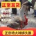 【推荐诚信商家】狮头鹅苗包运输成活货到满意付款厂家直供