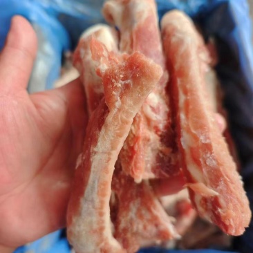 多肉肋排条
