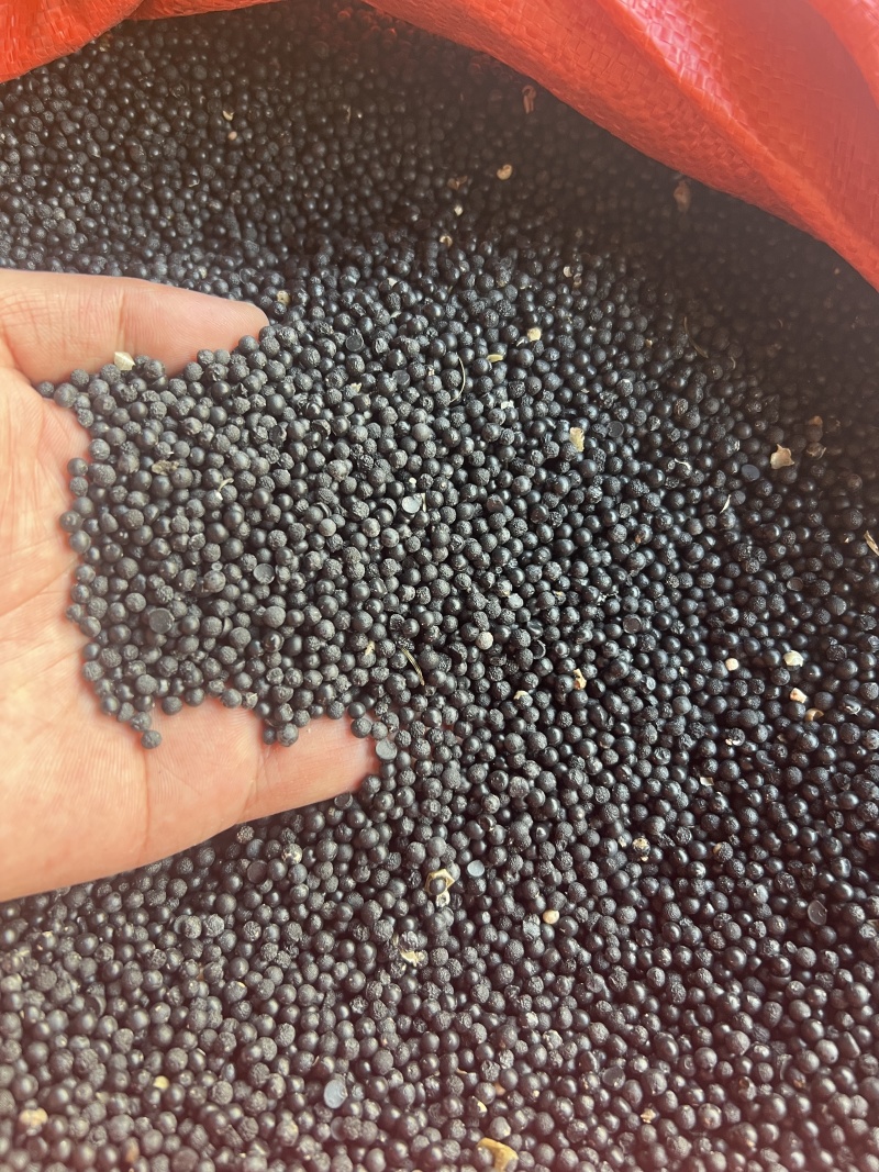 天东种子