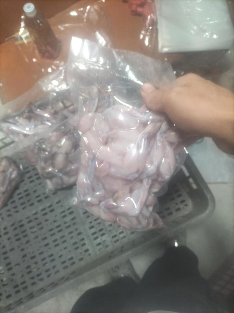 冷冻牛蛙