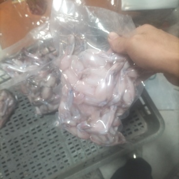 冷冻牛蛙