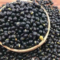 干炒黑豆25年新货熟黑豆