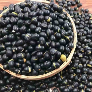 干炒黑豆25年新货熟黑豆