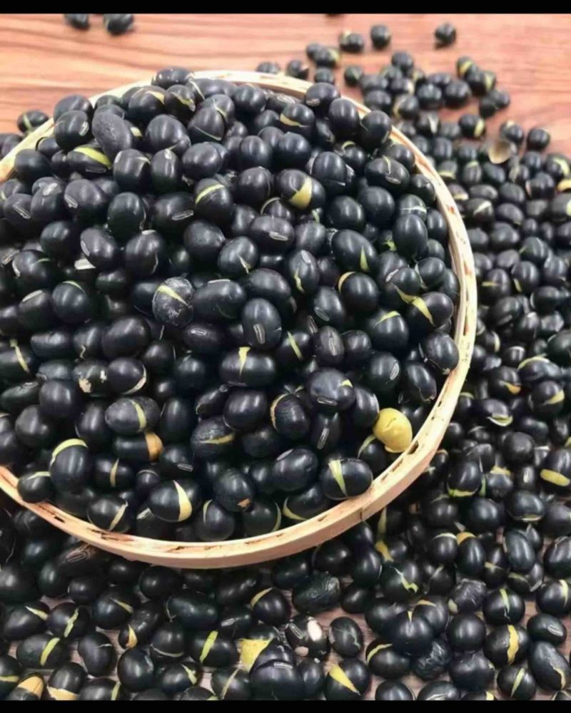 干炒黑豆25年新货熟黑豆