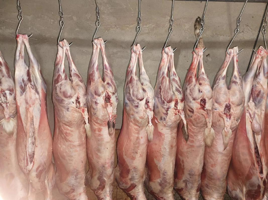 波尔山羊肉产品展示