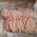 鸡丁鸡丝鸡片大量优惠