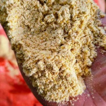玉米面玉米次粉