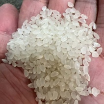 大米珍珠米