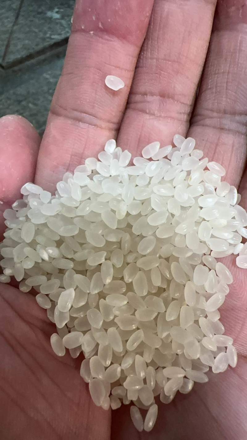 大米珍珠米