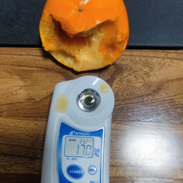阳丰脆柿，巧克力脆柿