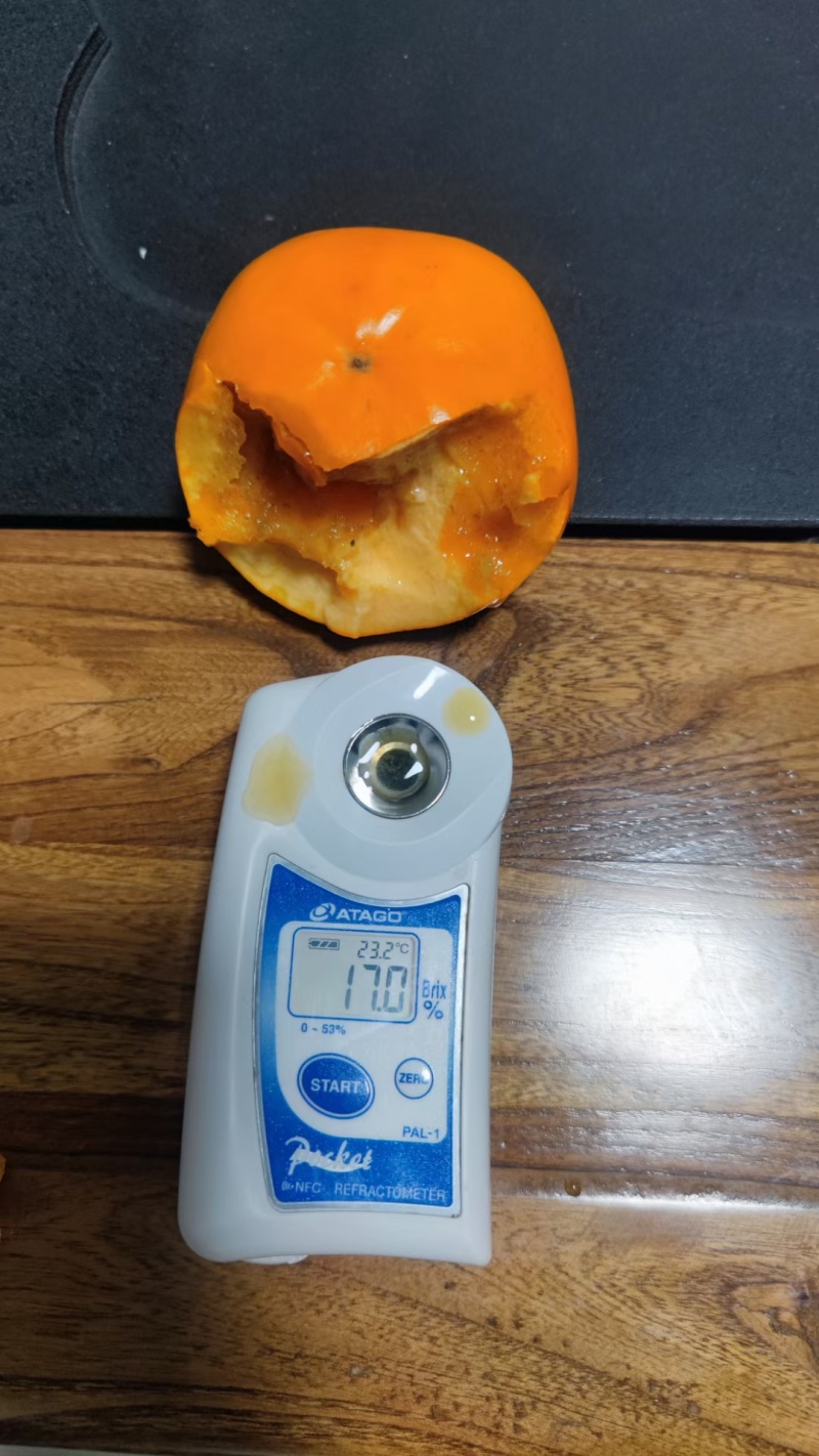 阳丰脆柿，巧克力脆柿
