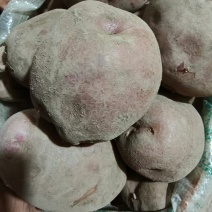 土豆
