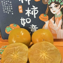 山西运城巧克力脆柿快递外贸批发