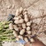 鲜花生