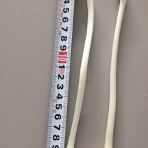 10公分之18公分