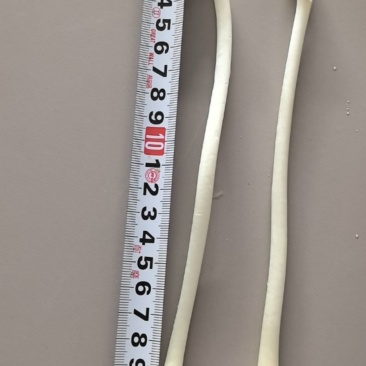10公分之18公分