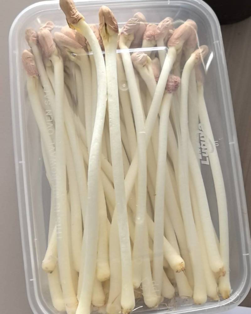 10公分之18公分