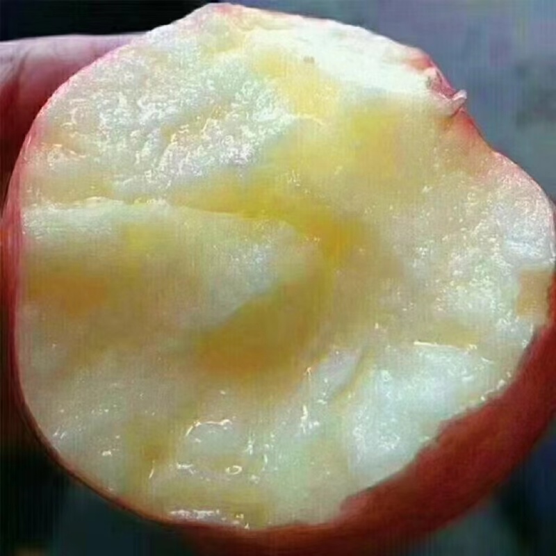 庆阳红富士苹果