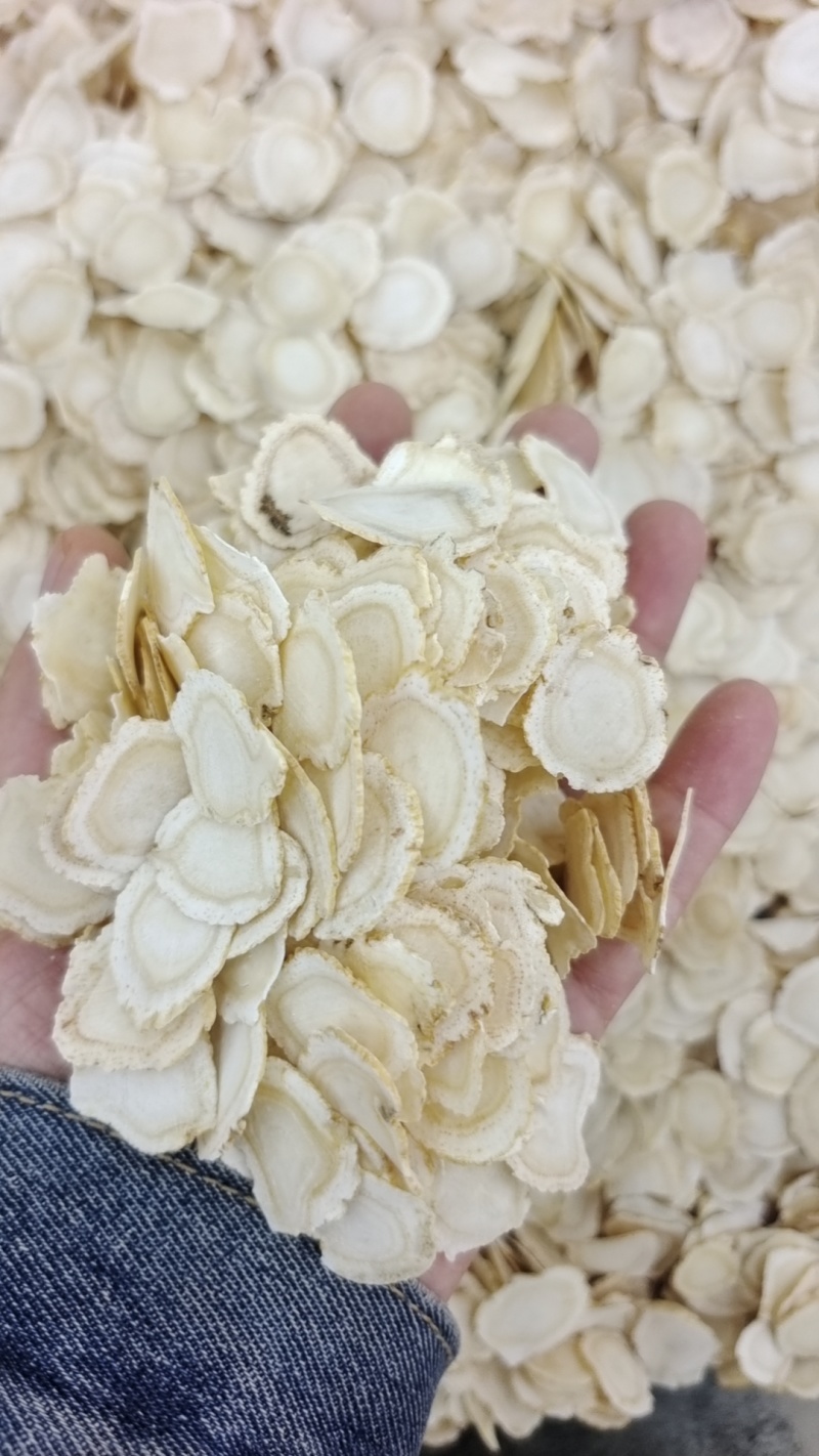 西洋参片软质西洋参片正宗长白山西洋参片