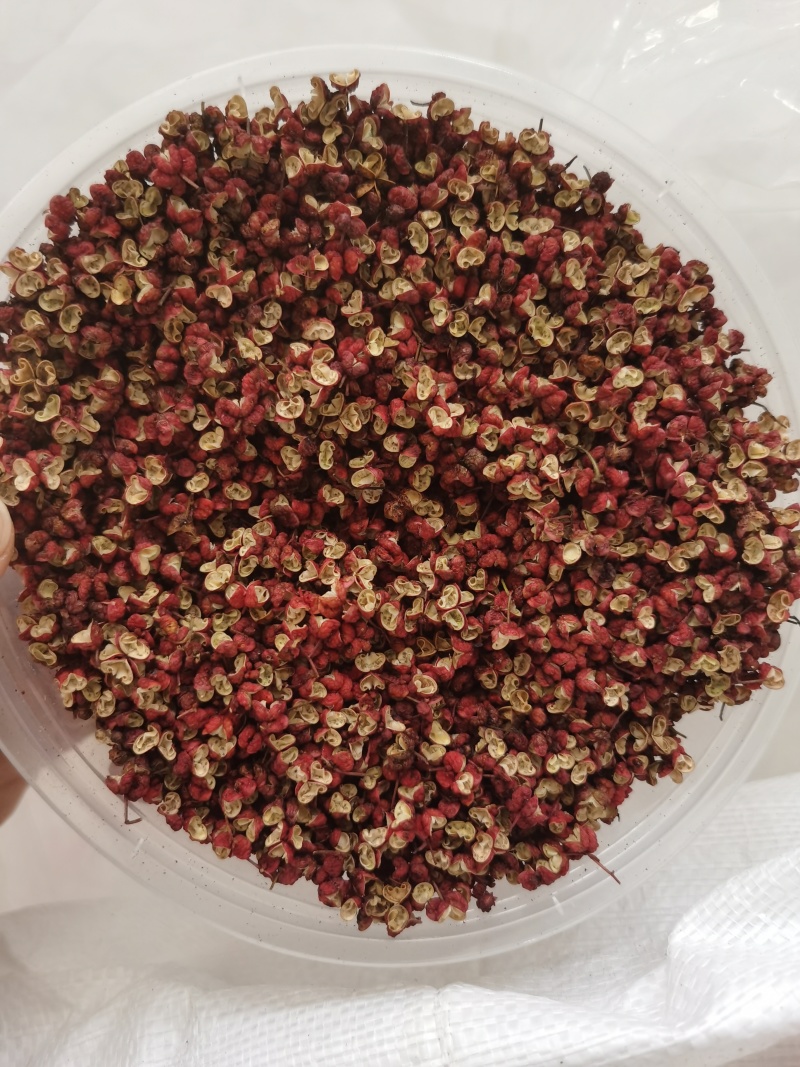 花椒大量有货现货直发欢迎合作