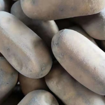 贵州道真旧城，正宗旧城灰豆腐果