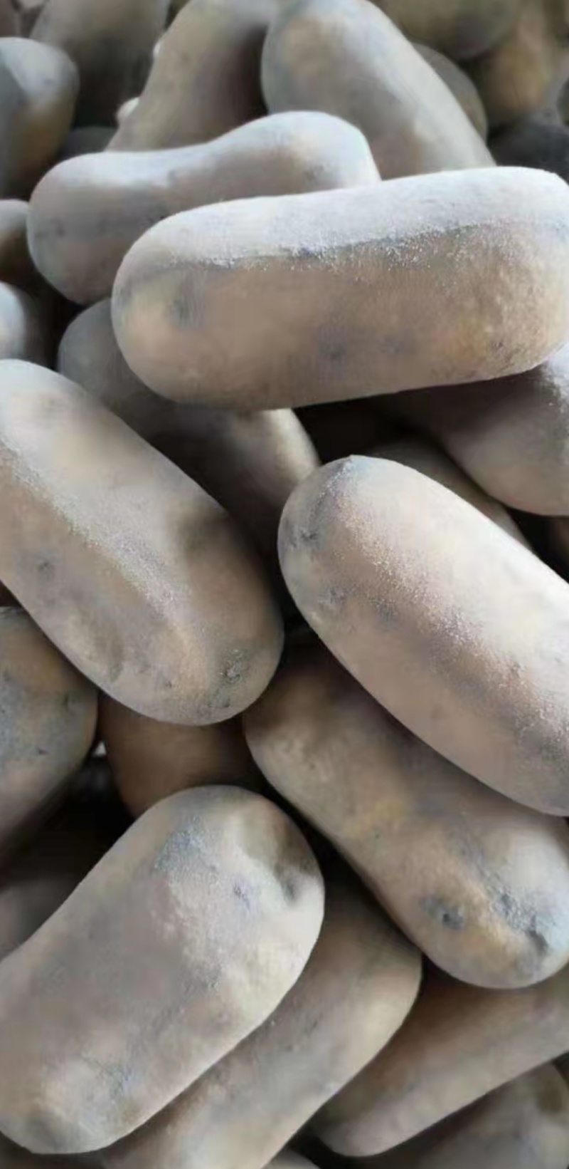 贵州道真旧城，正宗旧城灰豆腐果