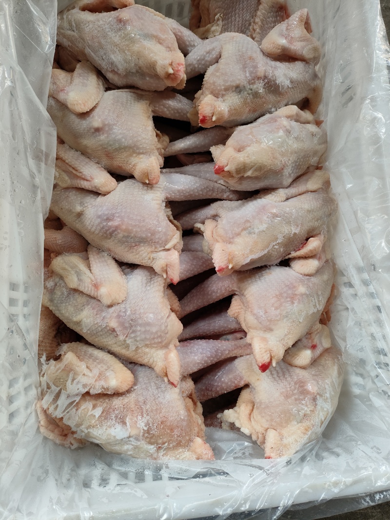 579小公鸡，烧鸡熏鸡风干鸡盐焗鸡等等