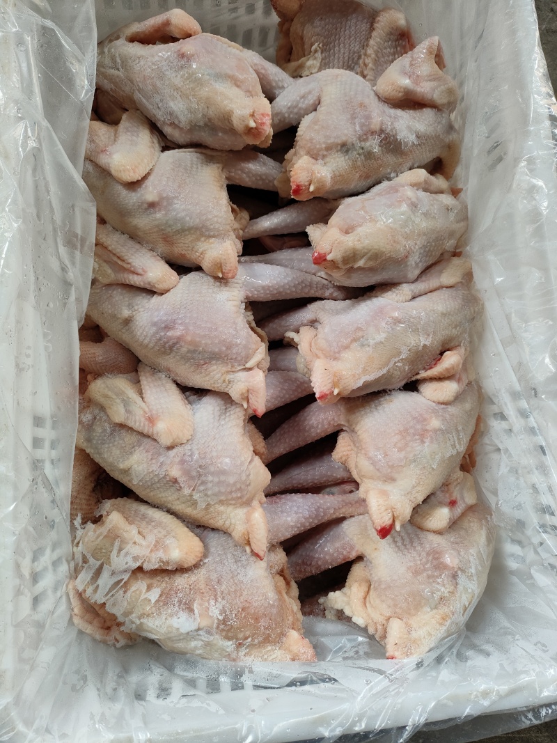 579小公鸡，烧鸡熏鸡风干鸡盐焗鸡等等