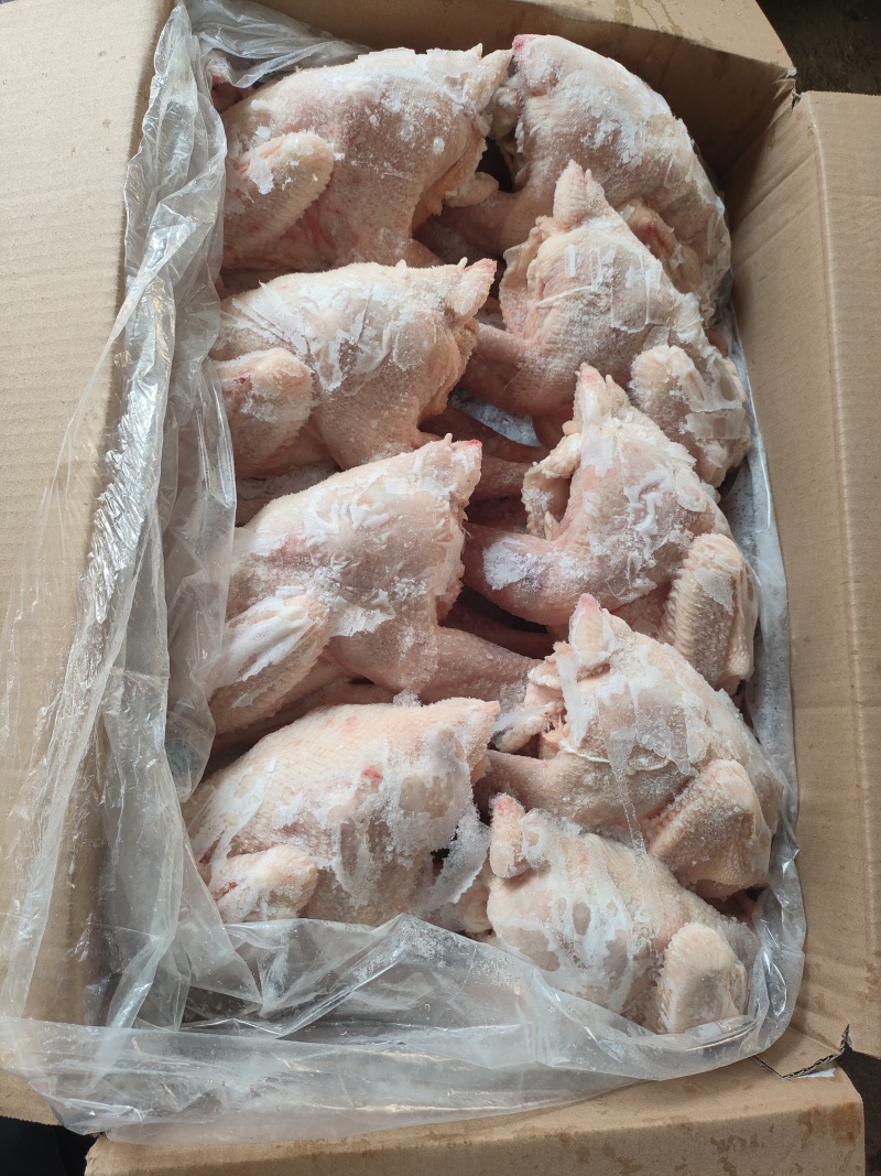 579小公鸡，烧鸡熏鸡风干鸡盐焗鸡等等